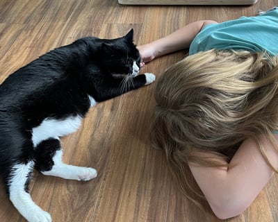 Quiet Cat Lounge Visit in Bend