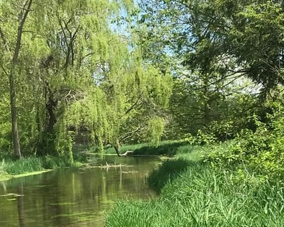 Guided Walk & Wade Trout Fly Fishing in Falling Springs