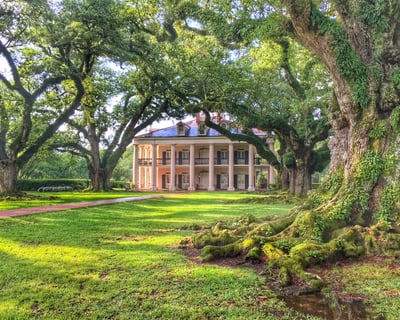 Oak Alley Plantation Guided Tour from New Orleans