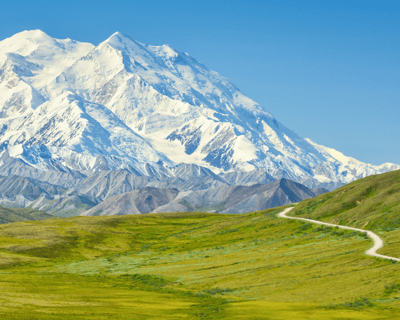 Denali Wildlife Sightseeing Tour