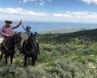 Logan Canyon 2.5-Hour Lunch Horseback Ride