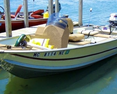 Les Cheneaux Islands 25HP Boat Rental