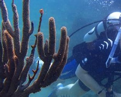 San Juan Shore Dive With Underwater Caverns
