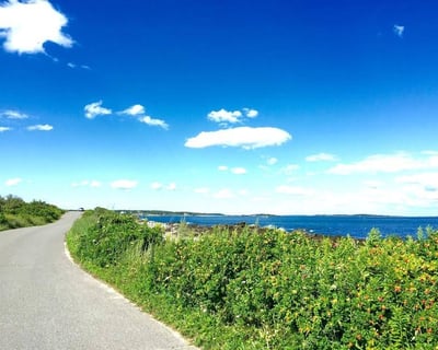 Peaks Island Golf Cart Rental
