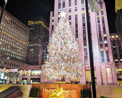 New York City Holiday Lights Guided Tour