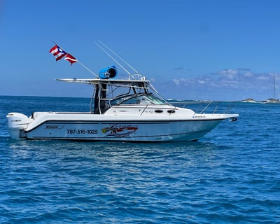 Full-Day Culebrita Snorkeling Charter