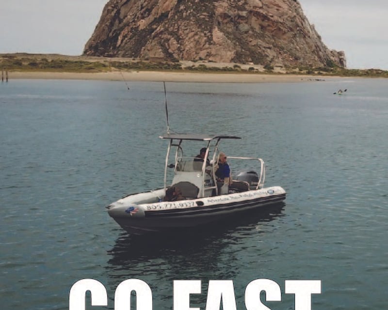 Morro Bay Guided Coastal Wildlife Tour