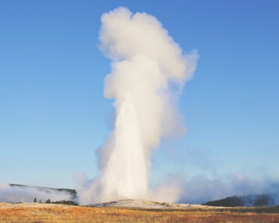 Guided Yellowstone Lower Loop Tour