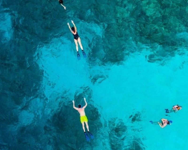 Private Full-Day Sandbar, Snorkel & Dolphin Tour in Key West