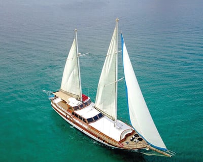 2-Hour Cabo San Lucas Arch Cruise