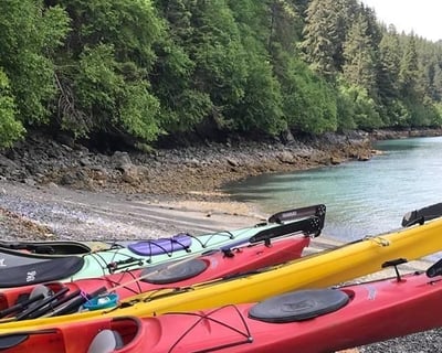 Self-Guided Hike in Kachemak Bay State Park
