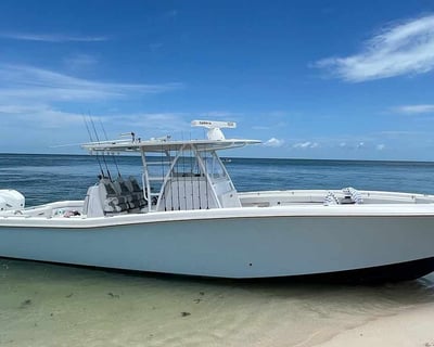 Fish on a 4-Hour Private Charter in Key West