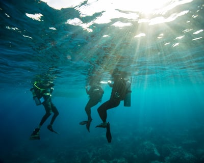 Guided Scuba Dive in St. Thomas