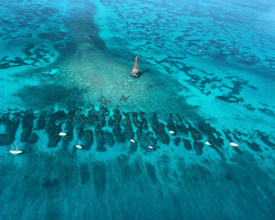 Snorkel & Sandbar Cruise in Islamorada