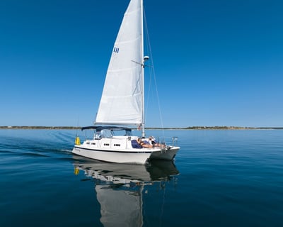 Private 3-Hour Day Cruise in Wellfleet, MA