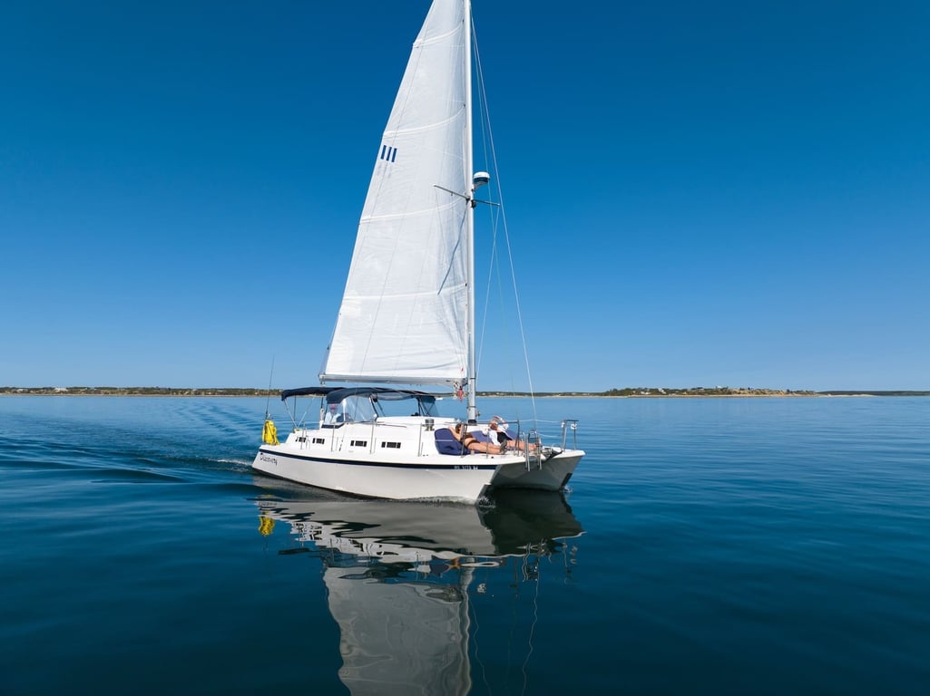 Private 3-Hour Day Cruise in Wellfleet, MA