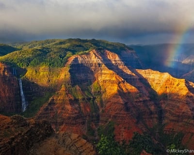 Private Kauai Highlights Tour Featuring Waimea Canyon