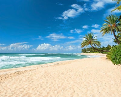 Oahu North Shore & Waimea Falls Guided Tour