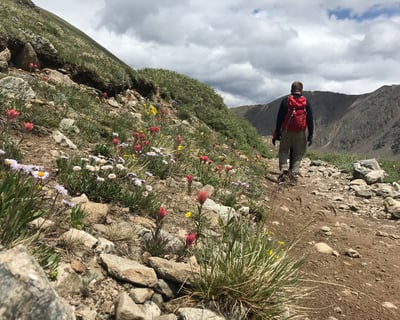 Full-Day Guided Mountain Hike in Silverthorne