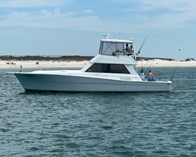 Deep Sea Fishing Charter in Orange Beach
