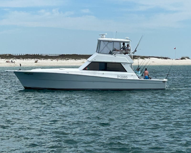 Deep Sea Fishing Charter in Orange Beach
