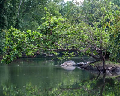 Guided Max's Favorite Float from Hwy 83 to Juliette