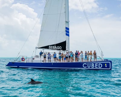 Dolphin Watch Sail In Key West