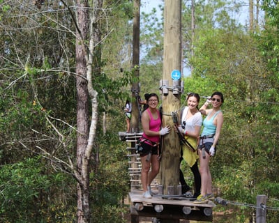2-Hour Aerial Obstacle Course in Kissimmee