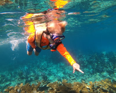 Guided Fish ID Snorkel Program in Key Largo