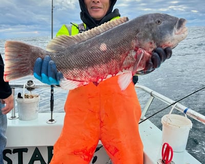 Viking FiveStar Split Fishing Charters