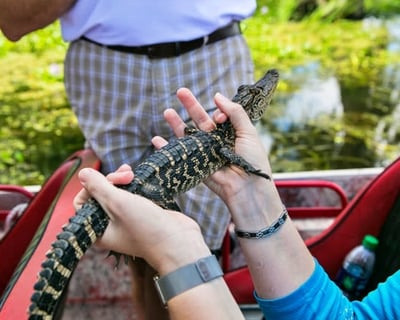 New Orleans City, Swamp & Plantation Tour