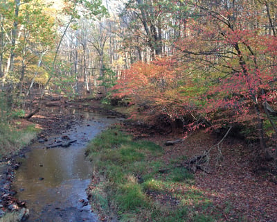 Bowman's Hill Preserve & Tower Combo Visit