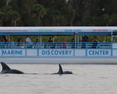 2-Hour Indian River Lagoon Nature Cruise