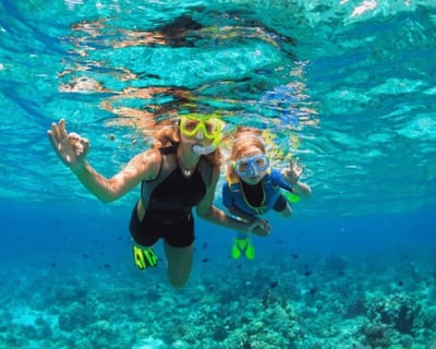4-Hour Snorkeling Tour in Siesta Key