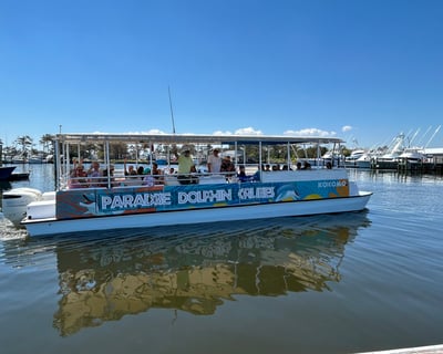 2-Hour Dolphin & Wildlife Cruise on Roanoke Sound
