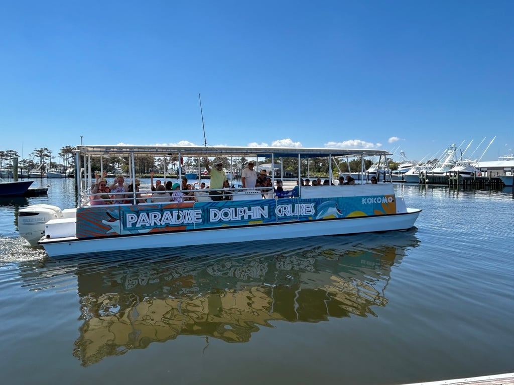 2-Hour Dolphin & Wildlife Cruise on Roanoke Sound