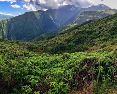 Guided North Shore Hike In Maui (5.5 Miles)
