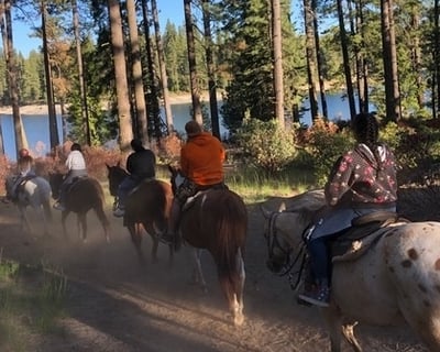 Evening Horseback Ride in Shaver Lake