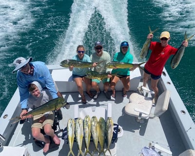 Fish On a Private Charter in Key West