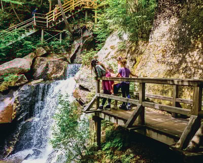 Lost River Gorge Self-Guided Boardwalk Trail