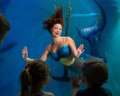 Lecanto Aquarium Visit With Mermaid Show