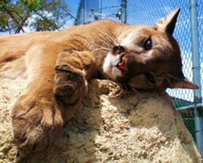 Private Behind-the-Scenes Zoo Tour in Prescott