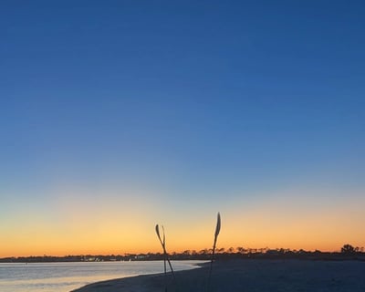 Sunset and Crab Grab Neon Clear Kayak Tours