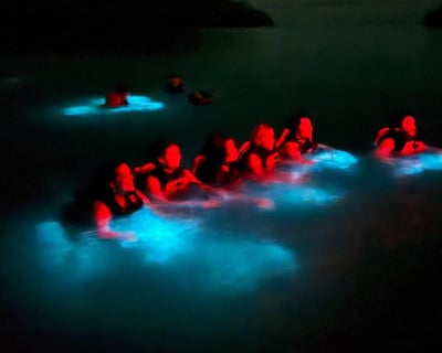 Bioluminescent Bay Swimming Tour in La Parguera
