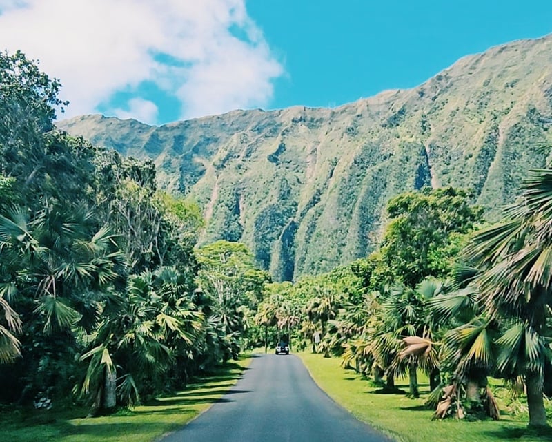 Private Southeast Oahu Tour to Diamond Head & Pali Lookout