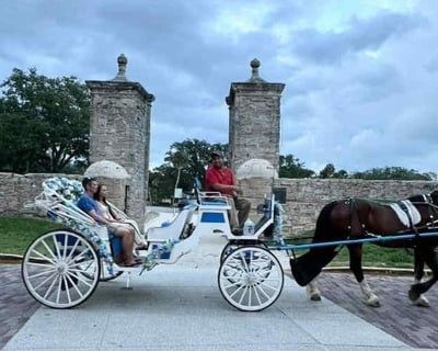 St. Augustine Historic Horse-Drawn Carriage Tour