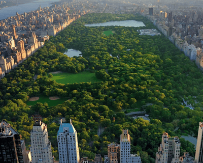 Explore Central Park on a Private 2-Hour Pedicab Tour