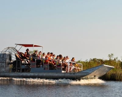 Louisiana Swamp Airboat Tour & Alligators