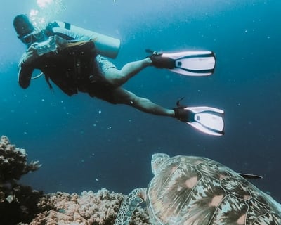 Introductory Scuba Lesson in Gulf Shores