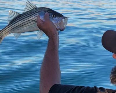 Lake Havasu Fishing Charter